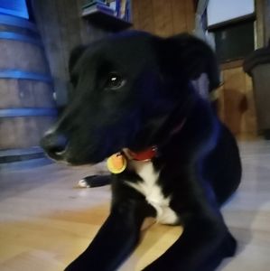 Meet your Posher, James